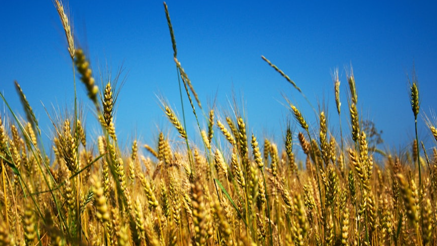 Rappresentazione visiva dell'articolo: La “notte” dell’Ucraina