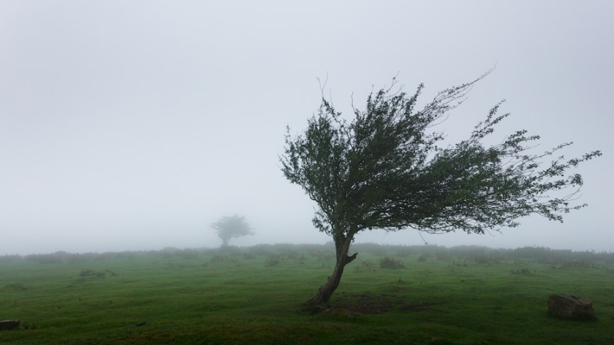 Rappresentazione visiva dell'articolo: Inflazione: sarà un venticello o un tornado?