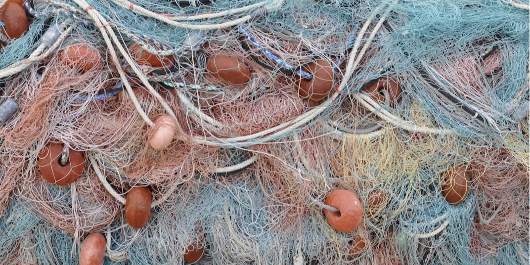 Rappresentazione visiva dell'articolo: Pesca a strascico