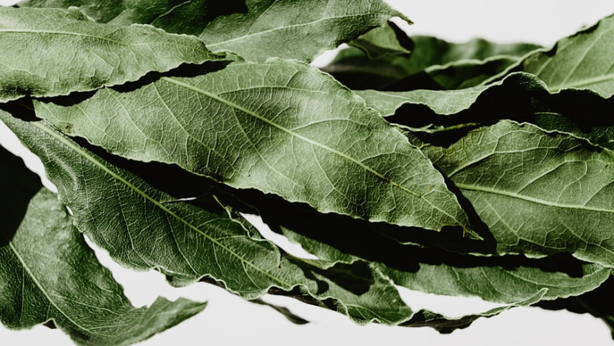 Rappresentazione visiva dell'articolo: Dafne, l’alloro ed i risparmi che perdono valore